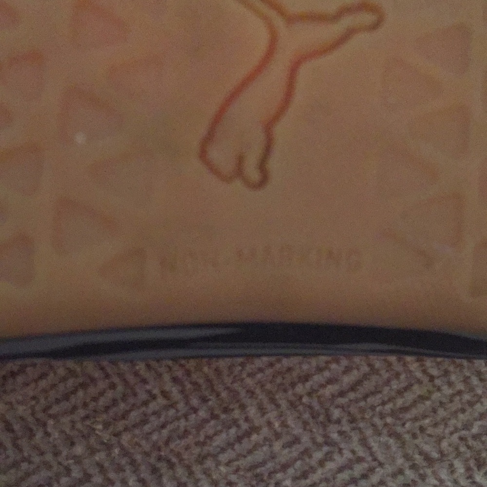 Pumas - Picture 7 of 7